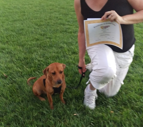 Wagging Tails Training - Brentwood, CA