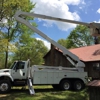 Randy's Tree Service gallery