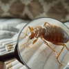 All Pro Exterminating gallery