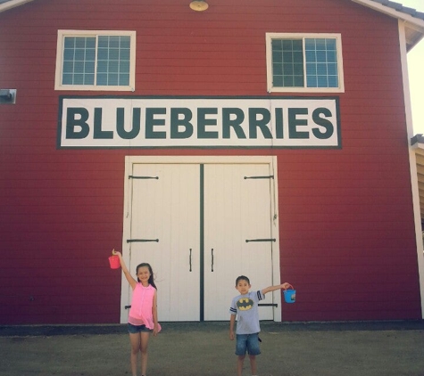 Temecula Berry Company - Temecula, CA