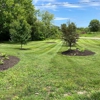 Pristine Green Lawn Care & Landscaping gallery