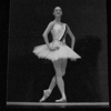 The New York Ballet Institute gallery