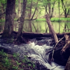 Cades Cove