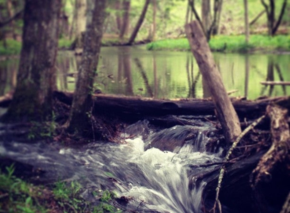 Cades Cove - Townsend, TN