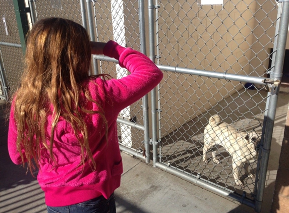 Nevada Humane Society - Reno, NV