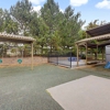 Horseshoe Lake KinderCare gallery