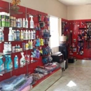 Yvonnes Pet Grooming - Pet Grooming