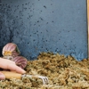 Fisher Pest Control gallery
