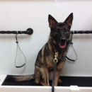 Quality Pet Market - Pet Stores