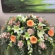 Plainfield Florist