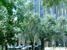 GMS Dental Center - Astrodome - Orthodontists