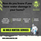 AA Mold Hunters Services