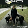 Mutts On Main gallery
