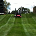 Major League Landscape & Lawn Care