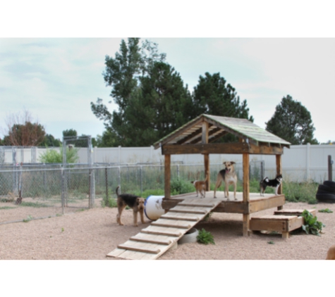 Church Ranch Veterinary Center - Westminster, CO