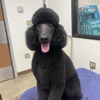 Petsense by Tractor Supply gallery