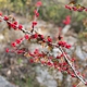 Bull Creek District Park