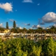 Cortez Village Marina