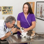 All Pet Animal Hospital