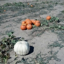 Happy Apple Farm - Historical Places