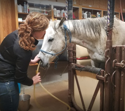 Snodgrass Veterinary Medical Center - Bowling Green, KY