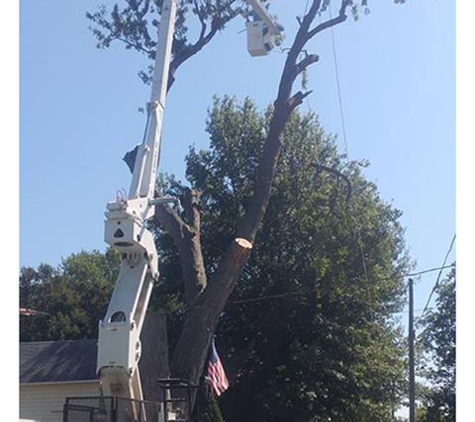 Wes' Tree Service - Oregon, IL