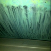 Surf Thru Express Car Wash gallery