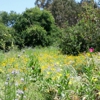 El Dorado Nature Center gallery