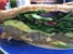 Mount Bakery Cafe - American Restaurants
