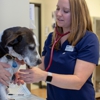 Animal Diagnostic Clinic gallery