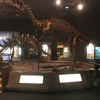 Delaware Museum of Natural History gallery