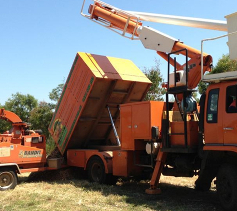 Forest & Garden Tree Services - Grassmere, VIC. We Have Equipment For Jobs Big & Small