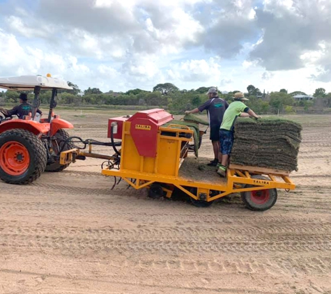 Great Northern Turf - Gumlow, QLD