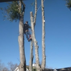 Rising Sun Tree Service