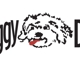 Shaggy Dog Pets