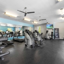 Holly Hills Apartments
