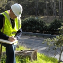 Evergreen Arborists Consultants - Arborists