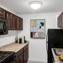 Harpers Forest Apartments - Apartments