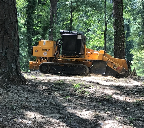 Economy Stump Removal - Gardendale, AL. Awesome machine!