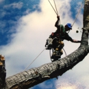 Chuck's Tree Service Inc - Tree Service