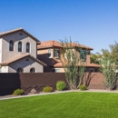 Turfscapes of Arizona - Sod & Sodding Service
