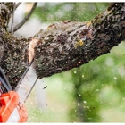 Clearview Tree Service