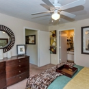 Crestone at Shadow Mountain - Apartments