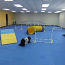 Paws 4 Fun Dog Agility - Dog Training