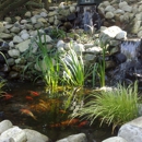 Make A Scene Landscaping And Water Features - Ponds & Pond Supplies