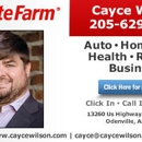 Cayce Wilson - State Farm Insurance Agent - Auto Insurance