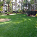 Ignacio landscaping - Landscape Designers & Consultants