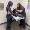 Vetco Total Care Animal Hospital gallery