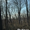 Knight's Land Forestry Mulching gallery