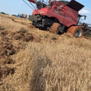 J's Towing & Recovery - Towing